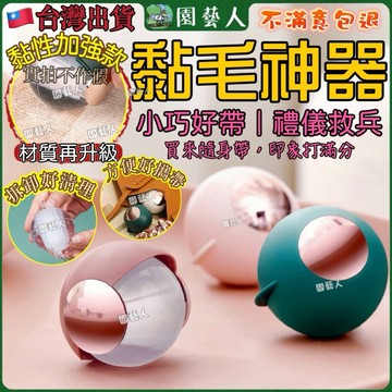 【最低價🔥24H出貨】攜便式黏毛器 衣服 黏毛器 黏毛 除毛 貓毛 可水洗 旅行必備 寵物黏毛器 除塵球 黏毛球 滾毛器