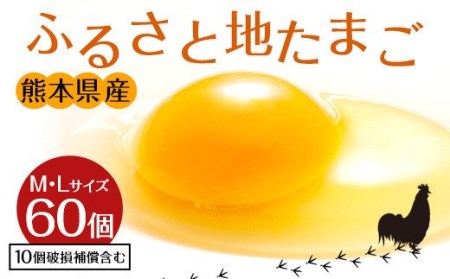 ふるさと地たまご 60個（M・Lサイズ）卵 赤たまご 10個破損補償含む