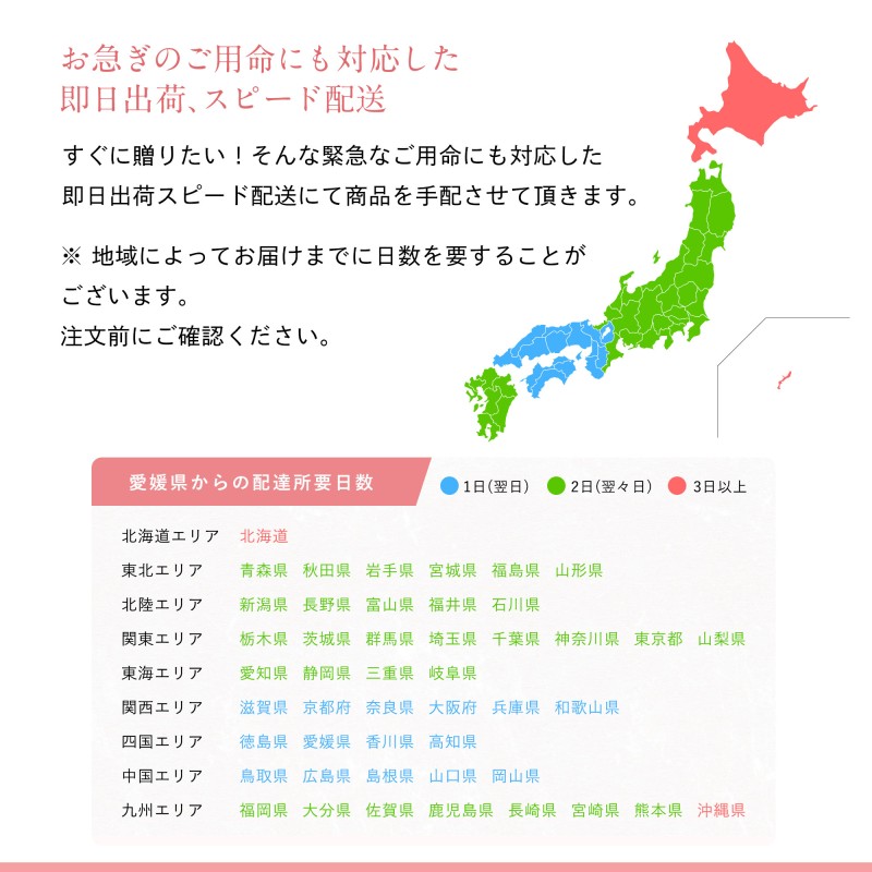 85％以上節約 プロキュアエース西山工業 ウォータークーラー 水道直結式 床置き型 自動洗浄機能付き 206-7359 WMS-D51P2 1台 