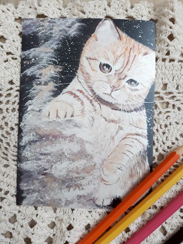 宇宙貓星人-玩玩星海雲彩