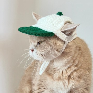 Korean Designer Brand 宠物棒球帽耳孔设计 猫狗适用. GREEN