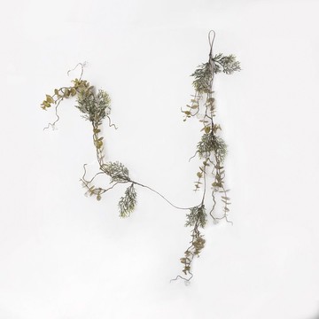 Golden Eucalyptus Branch