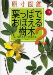 葉っぱでおぼえる樹木 原寸図鑑 [本]