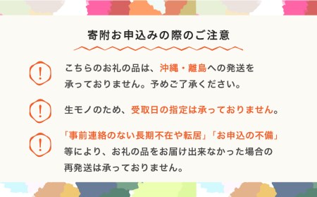 先行予約 さくらんぼ 紅秀峰 特秀2Lサイズ 300g 化粧箱鏡詰め 2024年産 令和6年産 山形県産 ns-bst2x300 ※沖縄・離島への配送不可