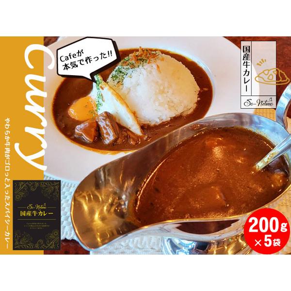 高級国産牛カレー レトルト スパイシーカレー 200ｇ×5袋 ビーフカレー 福山 ギフト プレゼント So-netmo ソネトモ  税率8％