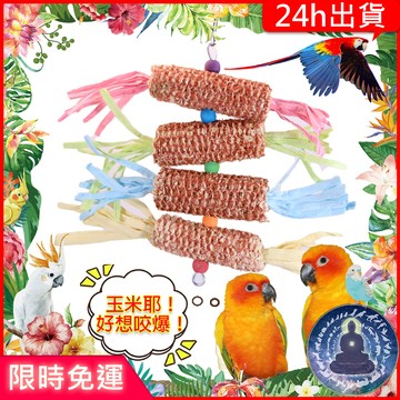 【寵物覺醒24h出貨】鸚鵡玩具磨牙玉米梗蘿蔔鸚鵡用品TropicalPlanet熱帶星球