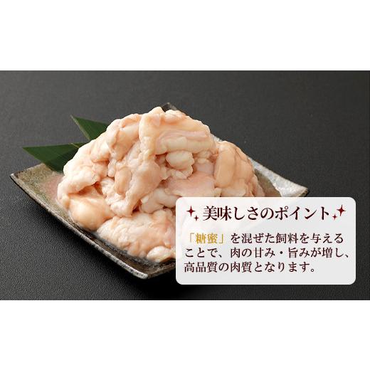 ふるさと納税 福岡県 嘉麻市 嘉穂牛 ホルモン 約800g ブランド牛