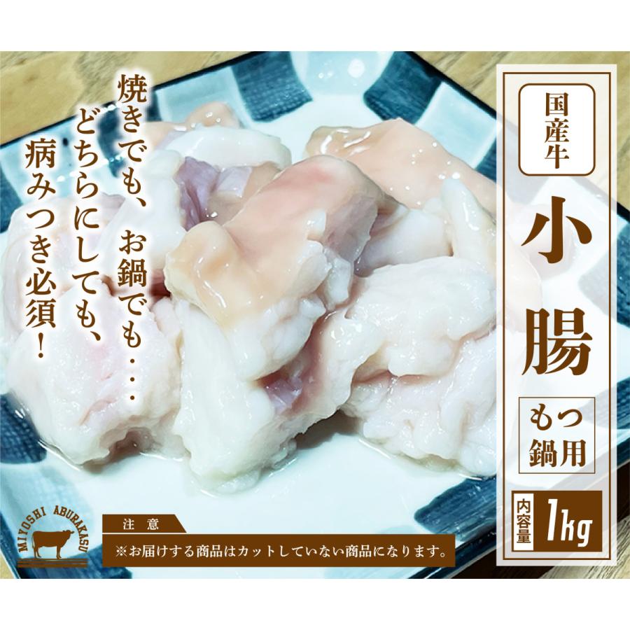 国産牛 小腸 1kg   こてっちゃん   もつ鍋   冷凍 ブロック