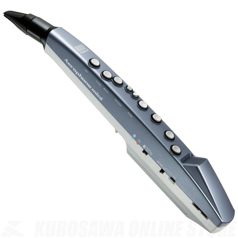 Roland AE-01 (Aerophone mini)《2019年9月21日発売・ご予約受付中》