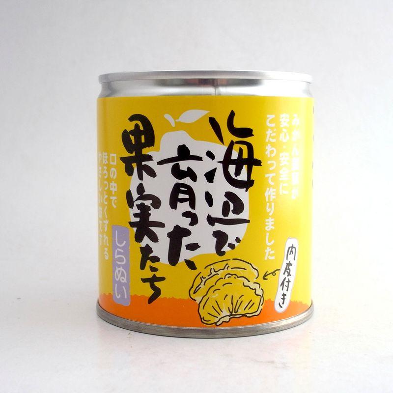 みかん缶詰 海辺で育った果実たち（不知火缶詰） 愛媛産しらぬい使用×3缶セット