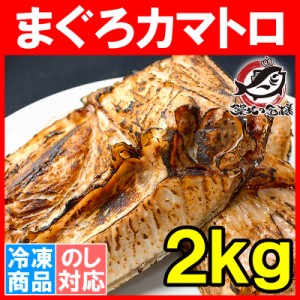 まぐろカマ 2kg 塩をふって焼くだけで本当に旨い。抜群に脂がのったまぐろカマトロをたっぷりのボリュームで！【鮪 マグロ かま カマ ま