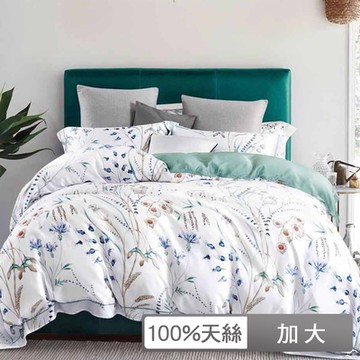 貝兒居家寢飾生活館 60支100%天絲四件式兩用被床包組 裸睡系列  加大雙人 夏日