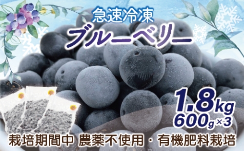 急速冷凍！栽培期間中無農薬ブルーベリー600g×3パック　計1.8kg[E2296a]