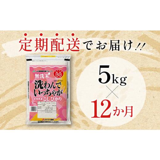 ふるさと納税 宮崎県 西都市 宮崎県産 無洗米 コシヒカリ 5kg×12回 合計60kg 便利なチャック付き＜9-5＞