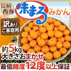 長崎 西海 ”味まるみかん” 訳あり 約5kg 大きさおまかせ 最低糖度12度保証 送料無料