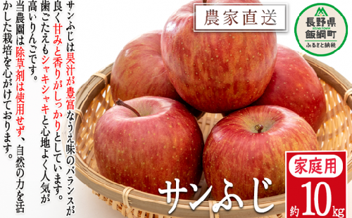 りんご サンふじ 家庭用 10kg 松澤農園 沖縄県への配送不可 2023年11月下旬頃から2024年2月上旬頃まで順次発送予定 令和5年度収穫分 長野県 飯綱町 [1337]