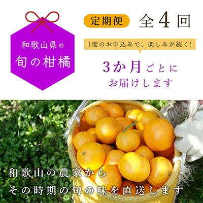 ふるさと納税 広川町 和歌山有田の季節の柑橘5kg 定期便 3か月(3月6月9月12月)ごと全4回