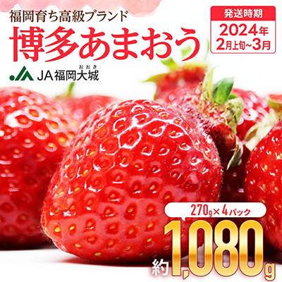 ふるさと納税 大木町  2024年先行受付 博多あまおう 福岡県JAグループブランド