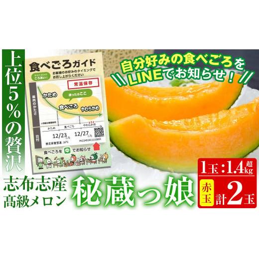 ふるさと納税 鹿児島県 志布志市 b5-089 数量限定！食べるタイミングがわかるメロン「秘蔵っ娘」赤玉(赤肉)2個