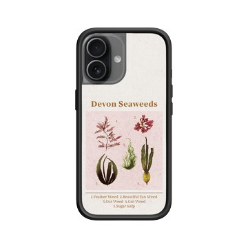 iPhone 17 Mod NX -邊框背蓋組合 (相機按鈕) 黑 - The Seaweed Studio - 德文郡・海藻海報