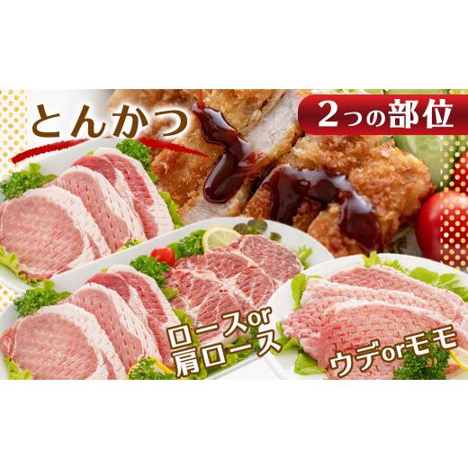 ふるさと納税 宮崎県 都城市 「クイーンハーブ豚」色彩(いろいろ)3.9kg