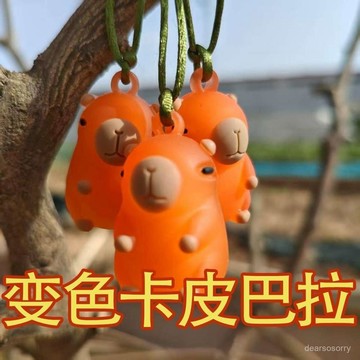 🔥台湾出🔥網紅可愛變色卡皮巴拉鑰匙扣吹泡泡卡通公仔掛件車載汽車水豚禮品 HKNE