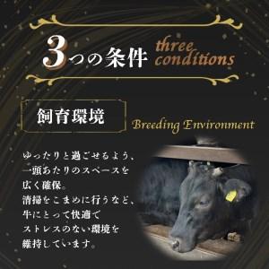 ふるさと納税 ＜亀岡牛専門店（有）木曽精肉店＞「亀岡牛特選サーロインステーキ」 1kg ☆祝！亀岡牛 2021年最優秀賞（農林水産大臣賞）受賞 京都府亀岡市