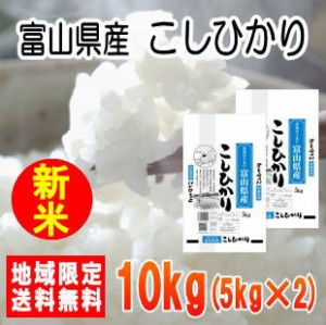 令和5年産富山県産こしひかり10kg（5kg×2）※北海道・九州・沖縄は別途送料かかります。米　10kg　送料無料　10キロ