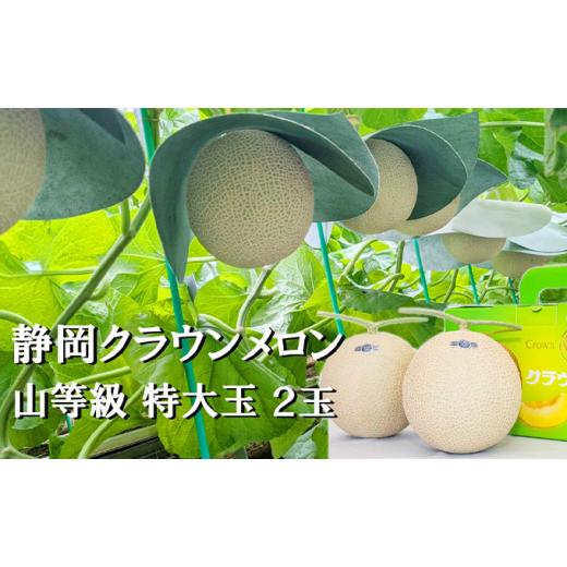 ふるさと納税 静岡県 袋井市 クラウンメロン特大玉（1.5kg前後）2玉入り 人気 厳選 ギフト 贈り物 デザート グルメ 果物 袋井市