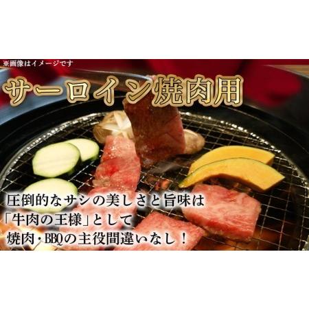 ふるさと納税 宮崎牛サーロイン焼肉×スライスギフト1kg_AI-0102_(都城市) 最高級A5ランク 宮崎牛サーロイン 焼き肉用 .. 宮崎県都城市