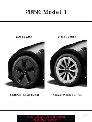{台灣公司貨 可打統編}新款特斯拉毛豆3 19寸輪轂帶胎一套原廠正品