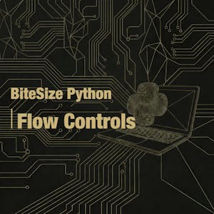 BiteSize Python for Absolute Beginners: Flow Controls