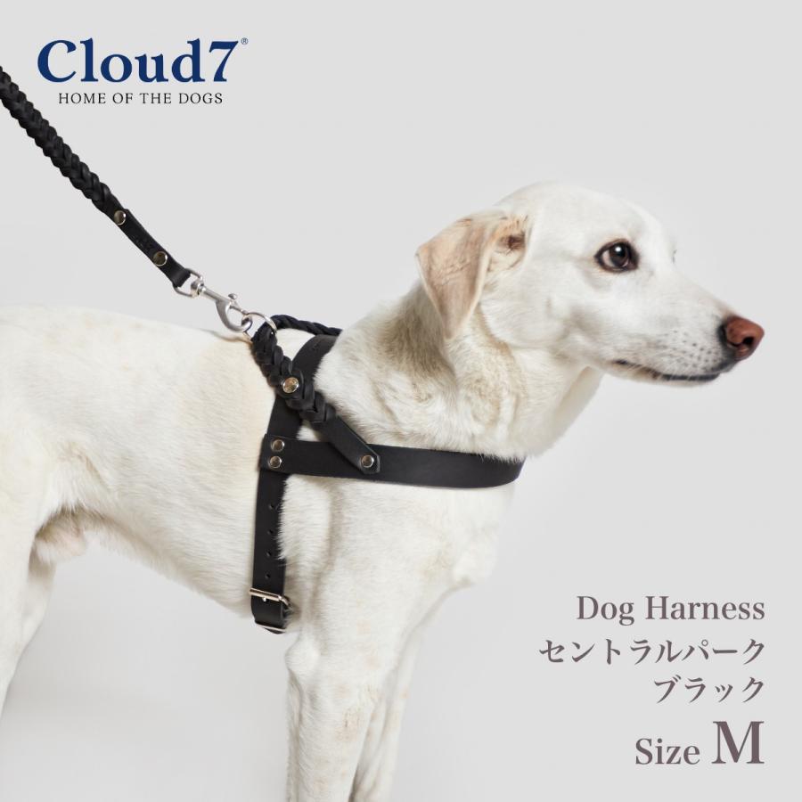ハーネス 編革 Cloud7 クラウド7 ハーネス セントラルパーク ブラック
