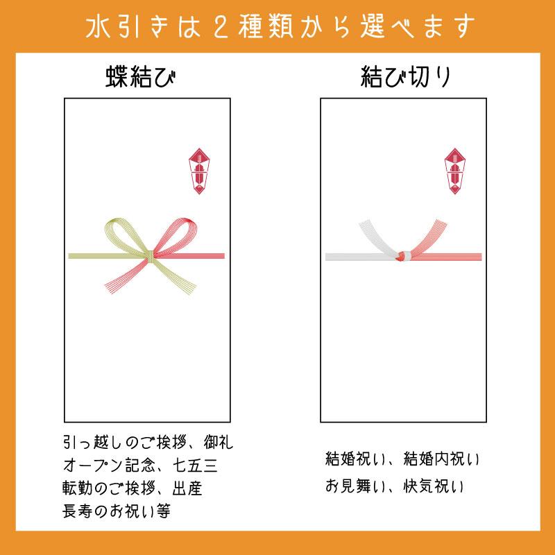 粗品 引越し 挨拶 ギフト お祝い 真空 平袋 『令和５年産 新米 茨城県産こしひかり １合 ２合』 お礼 記念品 景品 ノベルティ 周年 名入れ メッセージ 急ぎ 早め