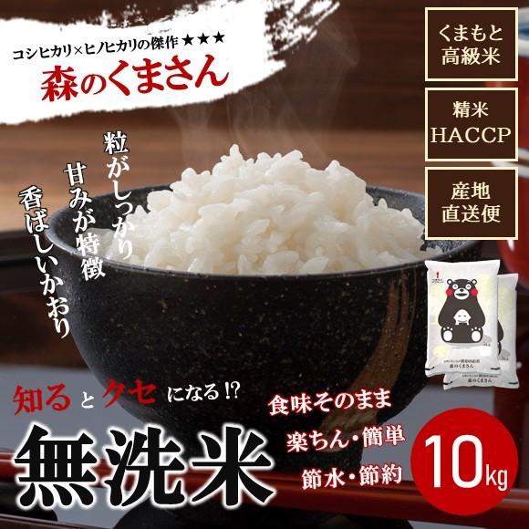 無洗米 森のくまさん  九州どまんなか熊本のお米 10kg(5kg×2袋） 熊本県産 人気 おうち時間 特A おすすめ おいしい おにぎり 送料無料