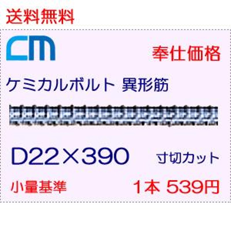 ケミカルアンカーボルト 異形筋 D筋寸切のみ D22×350 1本 354円 161本