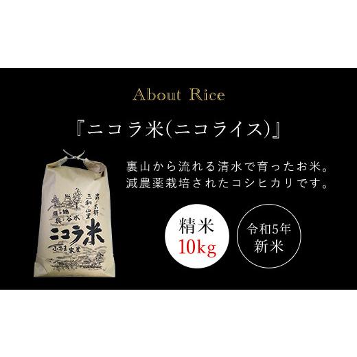 ふるさと納税 京都府 福知山市 フランス人農家が丹精込めて育てた減農薬コシヒカリ　二コラ米（二コライス）令和5年度新米　精米10kg ふるさと納税 減農薬コシ…