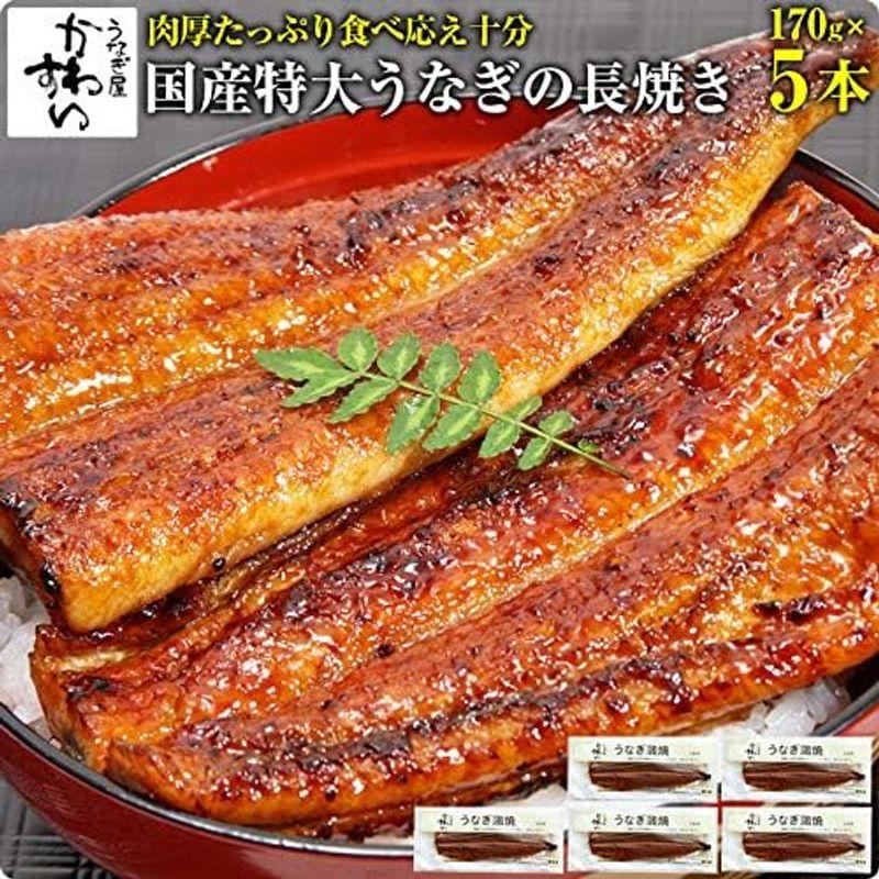 うなぎ屋かわすい 特大国産 うなぎ の蒲焼き（170g）5尾セット（タレ付き 山椒別売り) 川口水産