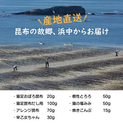 ふるさと納税 浜中町 まるごと昆布セットA