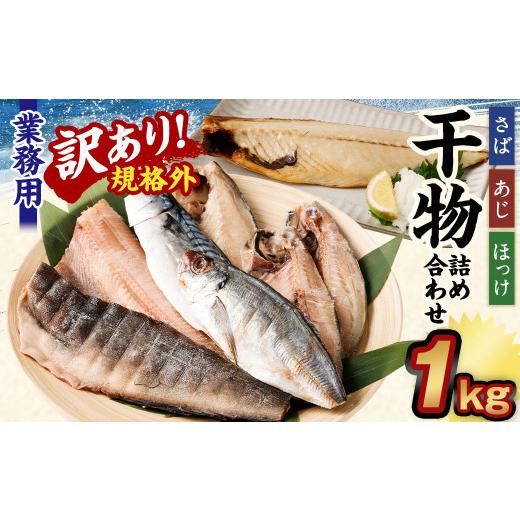 ふるさと納税 茨城県 神栖市 業務用 干物詰め合わせ 1kg 3種 セット さば 鯖 縞ほっけ ほっけ あじ 鯵 魚