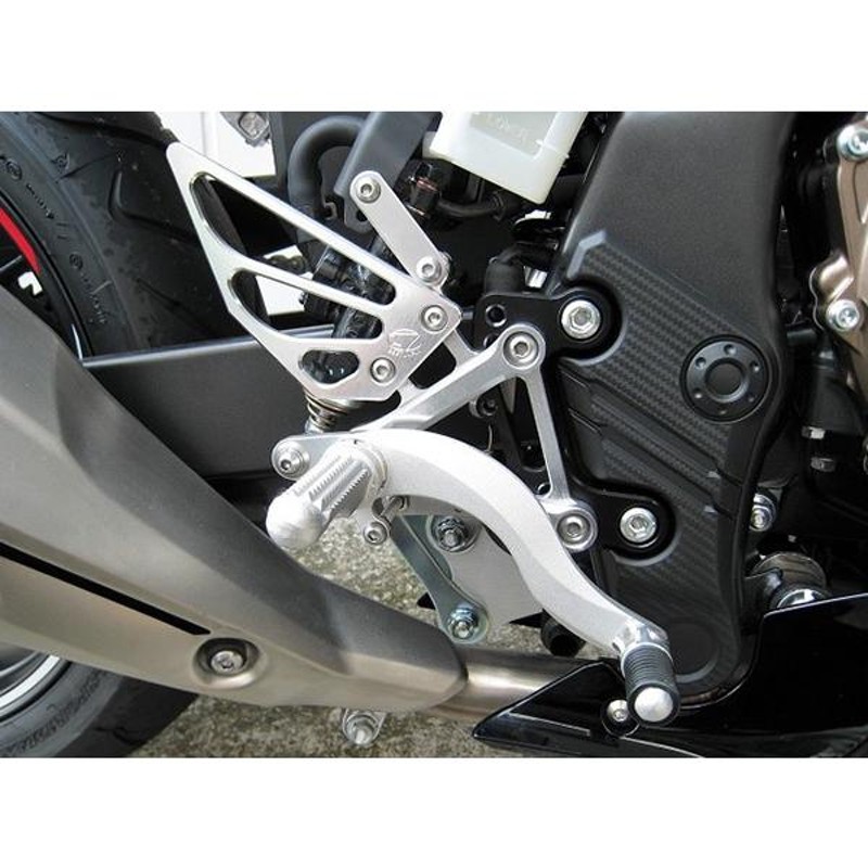 RAYTEC カワサキ Z900RS バックステップ ＳＬＶ 国内検品 仮組立済