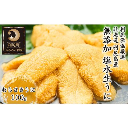 ふるさと納税 利尻島産 塩水 生うに むらさきうに100g×1■2024年6月より順次出荷■ 先行受付 ウニ 利尻  北海道利尻町