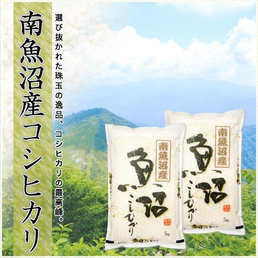 新米 お米 令和5年産 1kg 南魚沼産コシヒカリ 新潟産 送料別