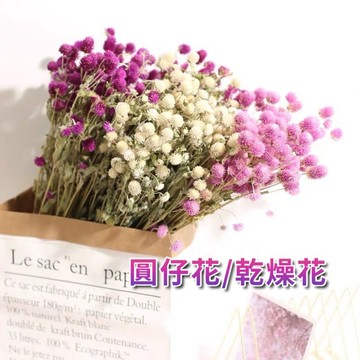 現貨🔺千日紅 圓仔花 乾燥花 乾花 永生花 花束 家居裝飾 diy花材 玻璃罩 拍照擺飾 捧花