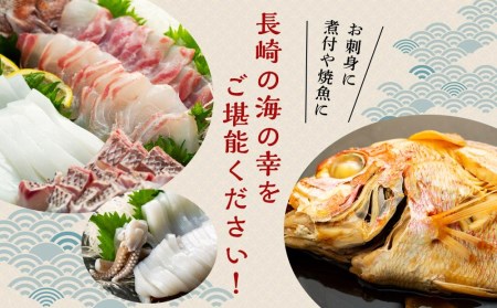 年内発送　長崎鮮魚セット（竹）