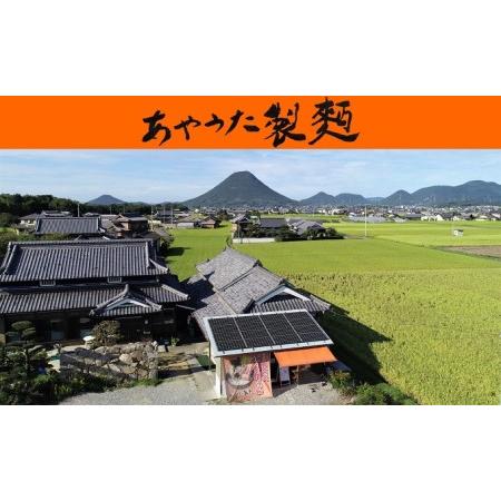 ふるさと納税 あやうた製麺半生うどん＆丸亀うちわ（源右衛門）セット 香川県丸亀市