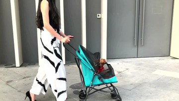 DODOPET寵物推車狗狗小推車貓咪輕便外出可摺疊小型犬遛狗車貓車