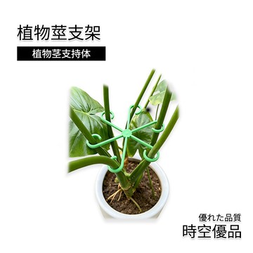 龜背竹固定器 植物莖支架 支撐架 龜背芋支撐架【時空優品】園藝支架 龜背竹 防倒伏 支撐桿 水培枝幹收攏架 植物支架