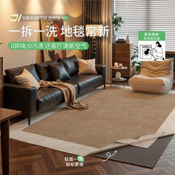 可拆洗中古風客廳地毯新款加厚復古風可機洗雙層臥室免打理床邊毯