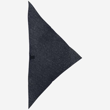 Faliero Sarti Cashmere Scarf With Swarovsky